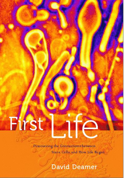Dave Deamer First Life